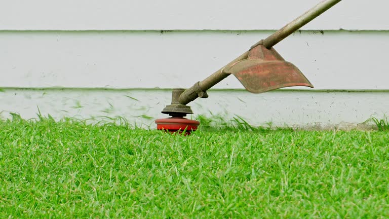 Best Lawn Maintenance Plans  in Maysville, MO